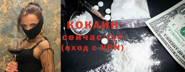 дурь Кулебаки