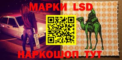 гашик Бийск