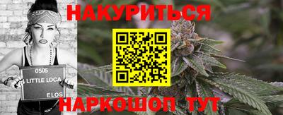 гашик Бийск