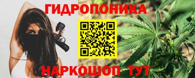 гашик Бийск