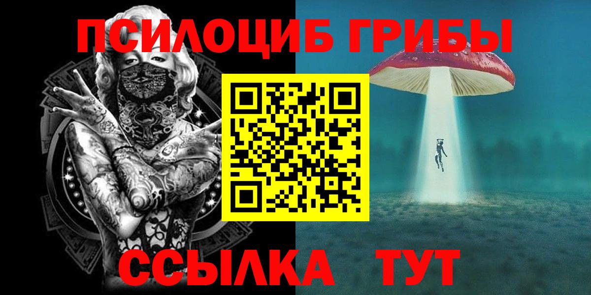 Псилоцибиновые грибы Cubensis  Волгоград 